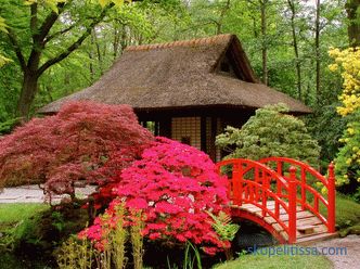 Giardino giapponese - principi e regole per creare stile