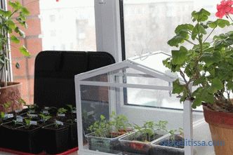 Mini serra domestica in policarbonato, mini serra per giardino, foto e video