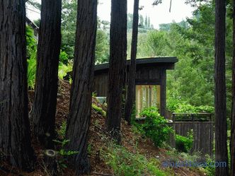 Due mini-cottage come un'estensione della casa a Mill Valley, in California