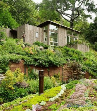 Due mini-cottage come un'estensione della casa a Mill Valley, in California