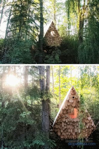 Birdhouse in una foresta canadese - ospita due persone e 12 uccelli